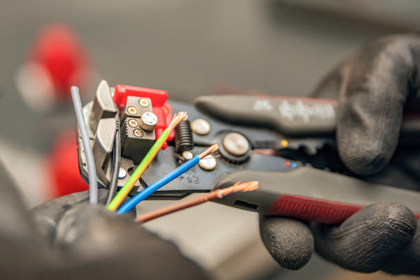Best Local Electrician Companies  in St Charles, MN